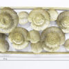 Stylish Metal Wall Art | Amazing Flower Hanging Decor for your Home & Office