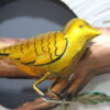 Exclusive Metal White Wall Art | Bird Wall Decor to Enhance the Look of your Home